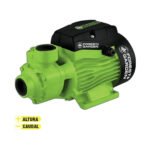 Electrobomba 1hp periferica 750w FOREST - P71026